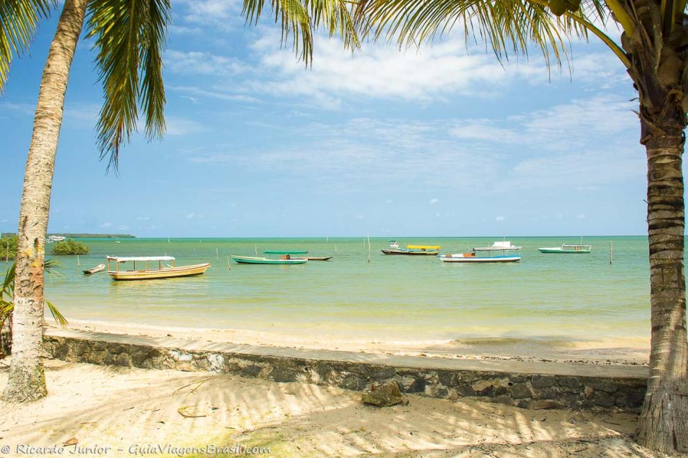 Imagem de dois coqueiros nas extremidades a no mar e ao centro os barcos ancorados na Vila da Cova da Onça.